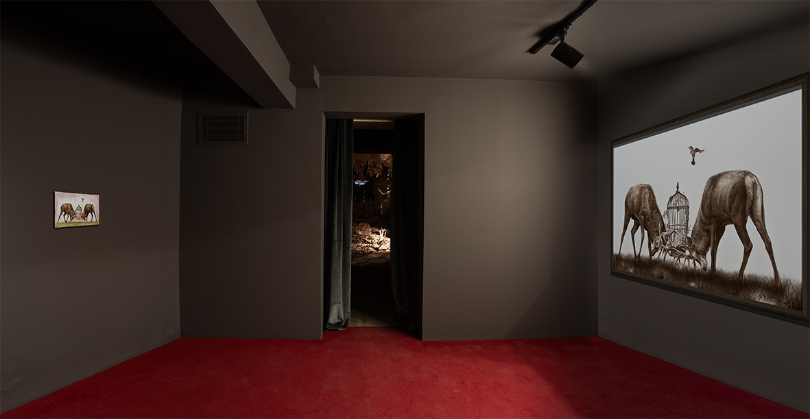 Installation view